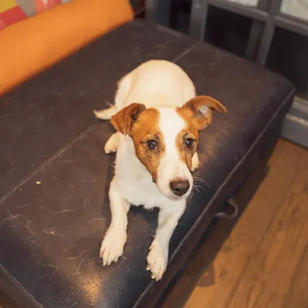 Готель типу 