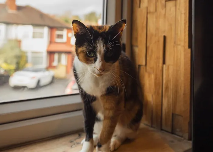 Franky's Place, In Roundhay, - Free Parking, Breakfast & Wifi Leeds (West Yorkshire)