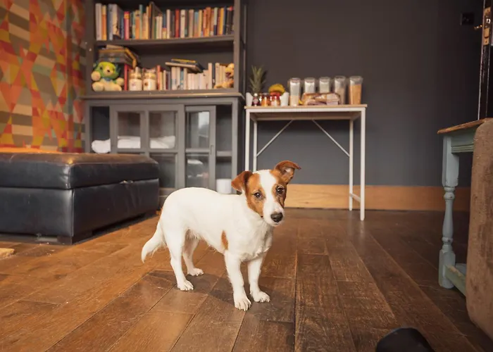 Franky's Place, In Roundhay, - Free Parking, Breakfast & Wifi Bed & Breakfast