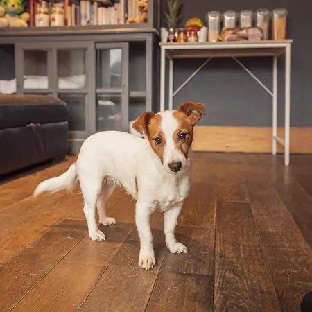 Franky's Place, In Roundhay, - Free Parking, Breakfast & Wifi