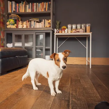 Franky's Place, In Roundhay, - Free Parking, Breakfast & Wifi Couette-café