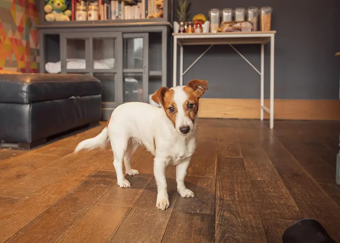 Franky's Place, In Roundhay, - Free Parking, Breakfast & Wifi