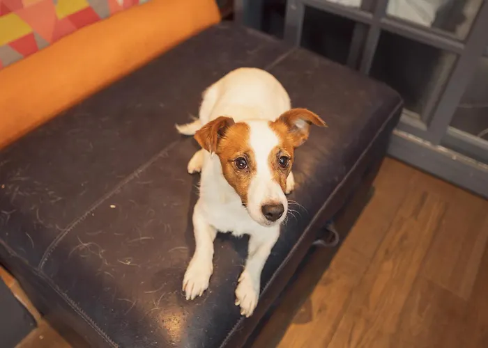 ベッド・アンド・ブレックファスト Franky's Place, In Roundhay, - Free Parking, Breakfast & Wifi *